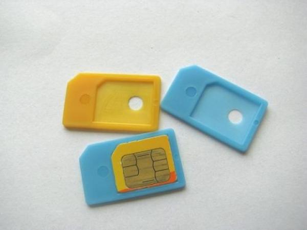 MicroSim Adapter