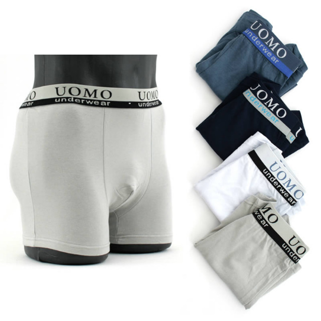 Herren Boxer Shorts Slips Unterhosen Wäsche