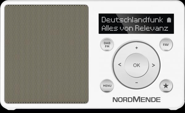 TechniSat Transita 100 | tragbares DAB+ Radio (DAB+, UKW, FM, Lautsprecher, Kopfhörer-Anschluss, Favoritenspeicher, OLED, Akku) | gold-weiß