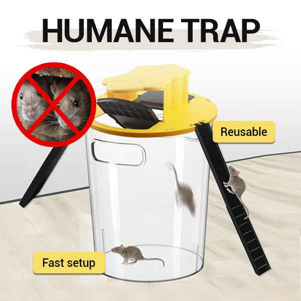 Trapero - Mausefalle