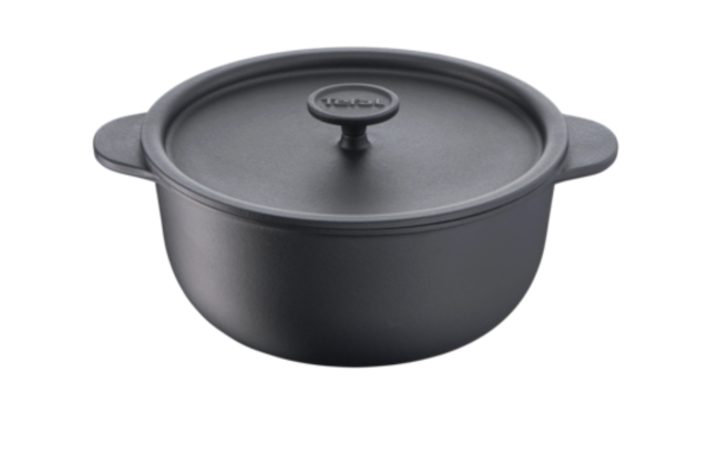 Tefal – 24 cm Induktion Faitout Kochtopf mit Glasdeckel – tiefer Topf, energieeffizient – A-Ware 