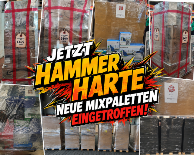 Mixpaletten A Ware Haushalt Deko Spielwaren Garten Elektro Baumarkt Paletten Restposten Sonderposten Neuware Mystery 
